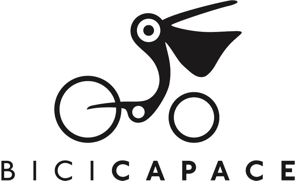 logo-bicicapace-2019-logo-197 rad3 – Produkte - Bicicapace Classic / Sport